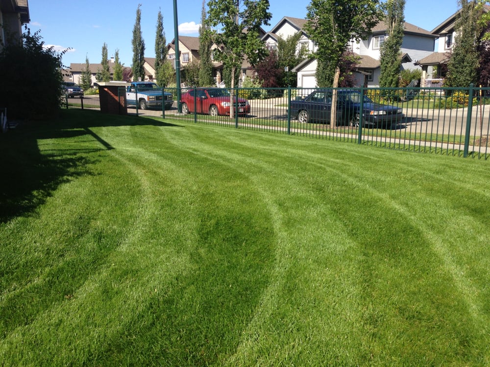 Dave Does Lawns Ltd