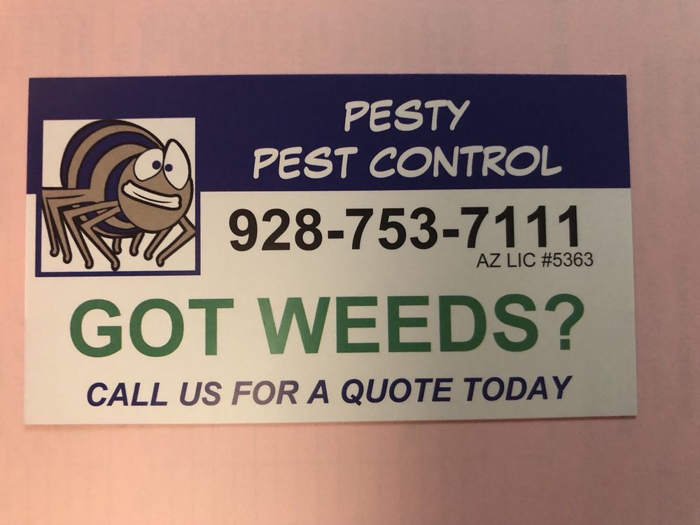 Pesty Pest Control 17 Photos 1815 Atlantic Ave Pesty Pest
