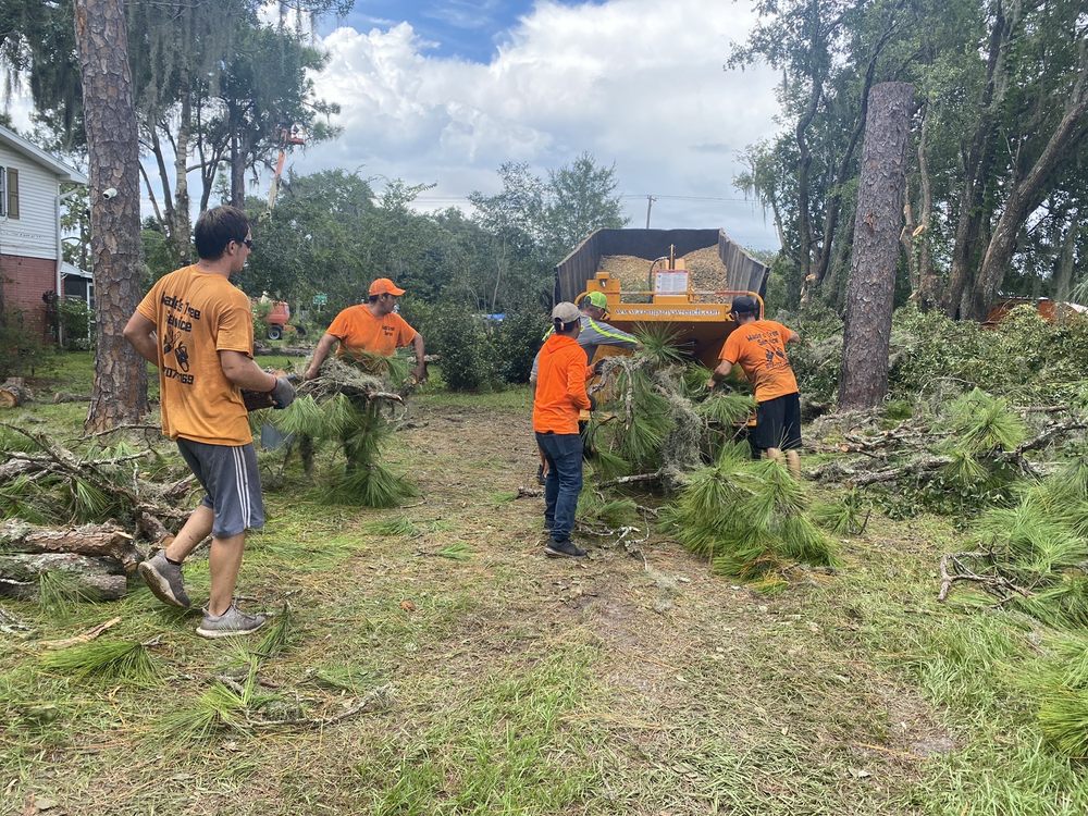 Wades tree service