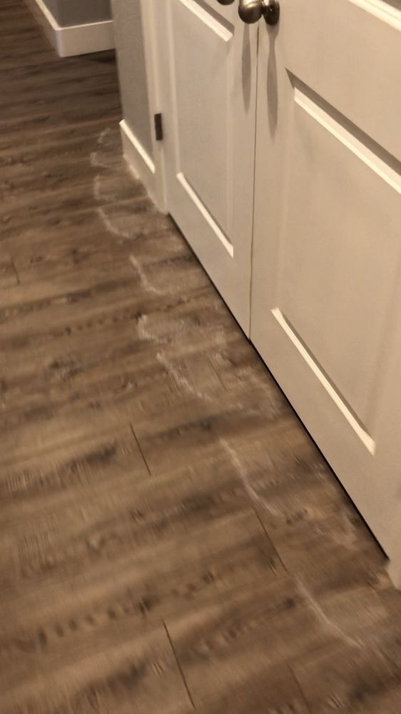 image of business Gauden Exterminating