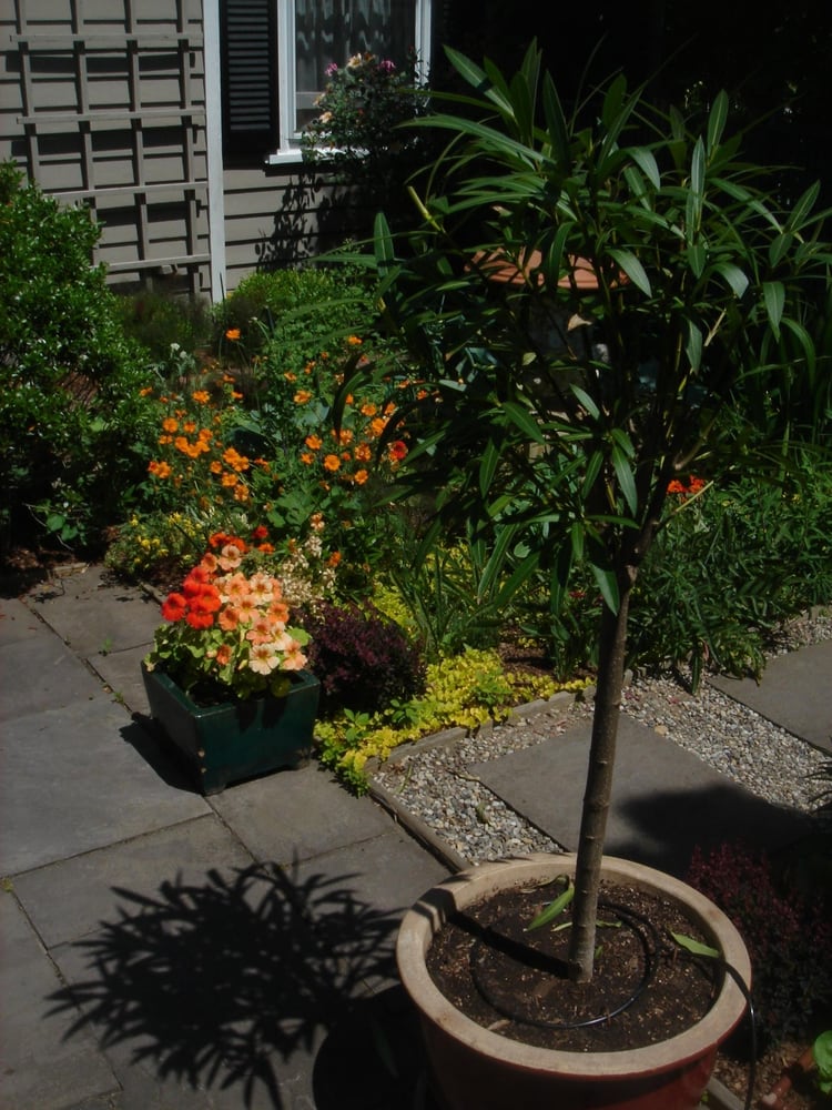 Schleicher Irrigation