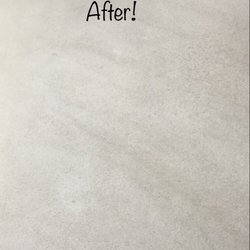 Naturalist Carpet & Air Duct Cleaning