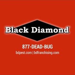Photo of Black Diamond Of Indy Pest Control - Indianapolis, IN, United States. Pest Control Indianapolis Pest Control Indianapolis Photo of Black Diamond Of Indy Pest Control - Indianapolis, IN, United States.