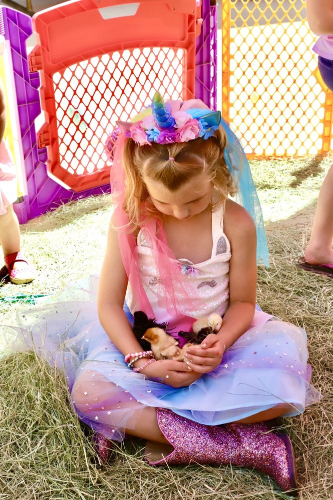 My Little Pony Rides
