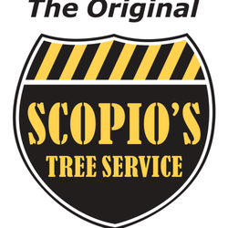 Tree Service Moorestown  Photo of Scopio's Tree Service - Moorestown, NJ, United States