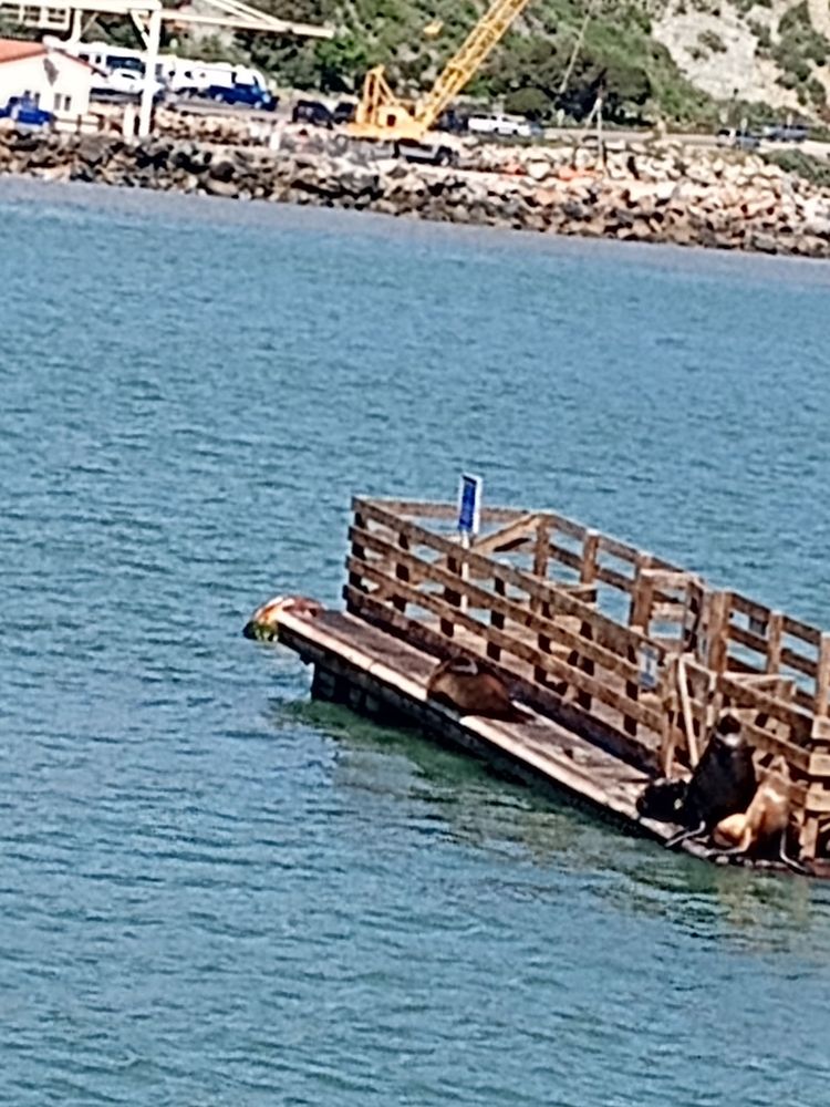 image of business WhiteCrest Smart Dentistry