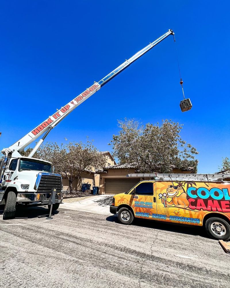 image of business Cool Camel