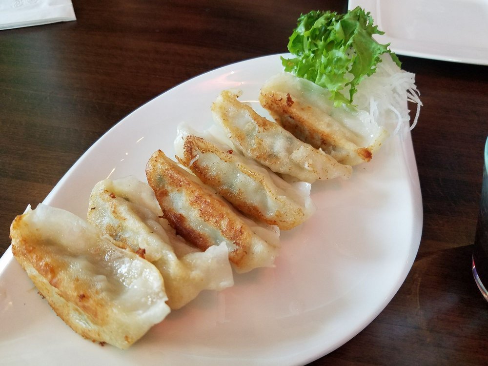 pan fried chicken dumplings
