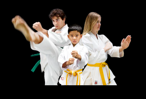 Villari's Martial Arts
