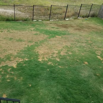 Perfect Cuts Lawn Service 11 Reviews Landscaping Allandale Photo Of Perfect Cuts Lawn Service Austin Tx United States Not Drought