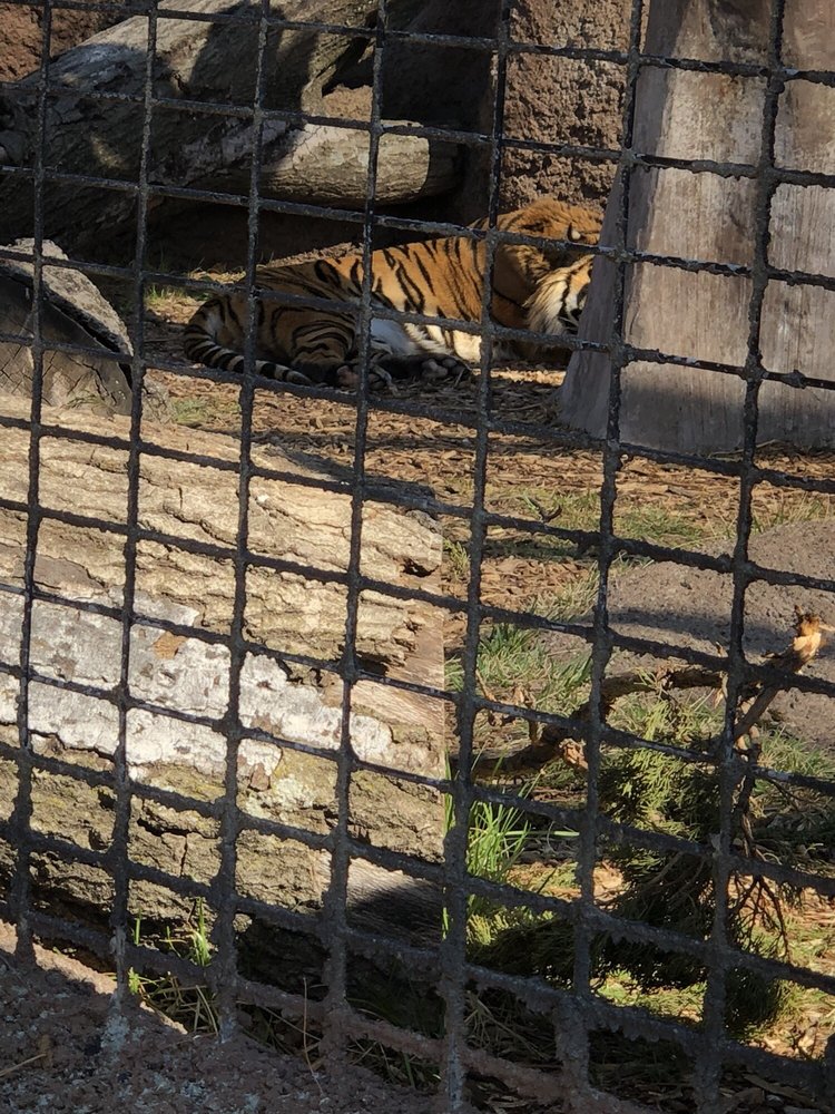 Friends of the Topeka Zoo 44 Photos & 25 Reviews Zoos 635 SW Gage