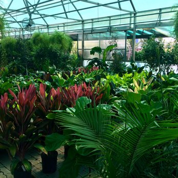 Ruibal S Plants 601 Pearl Expy Downtown Dallas Tx 2019 All