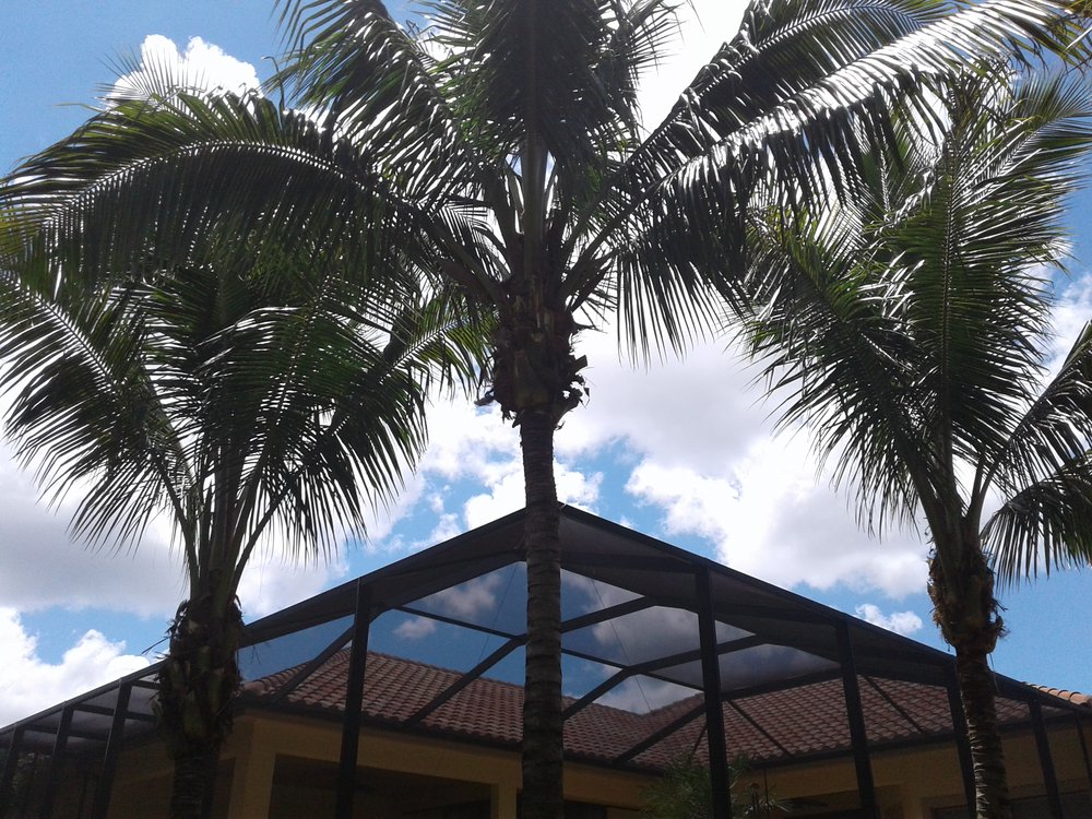 ACME Tree Trimming Services