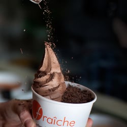 Fraiche Yogurt - Palo Alto, CA, United States