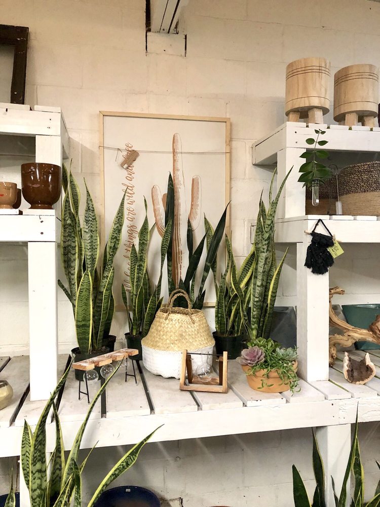 North Park Nursery