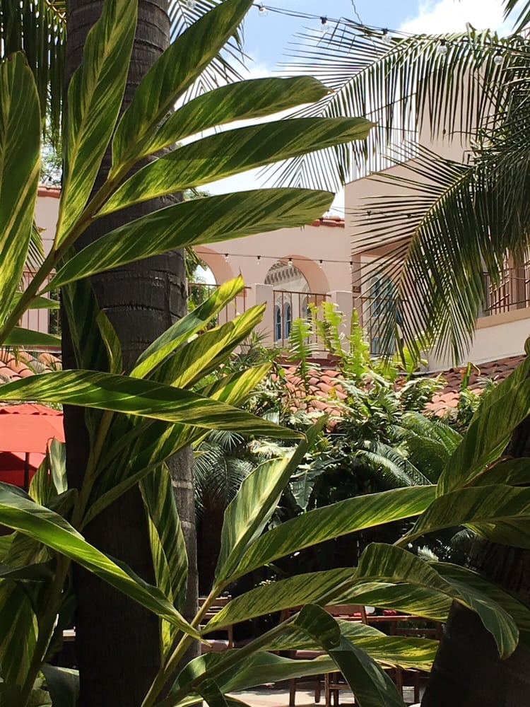 The Brownstone Cafe 177 Photos & 288 Reviews American (New) 305 N