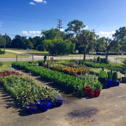 Nurseries Gardening In North Fort Myers Yelp Jmc Landscaping