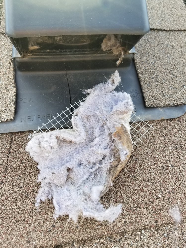 Clean N Dry Air duct & Dryer Vent Cleaning