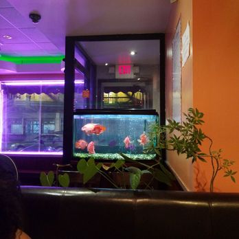 Lee Chinese Restaurant Brooklyn Ny Lee Chinese Restaurant Brooklyn Ny