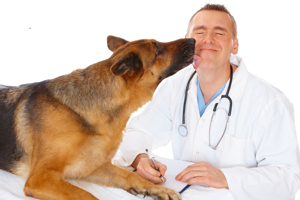 Town & Country Animal Hospital