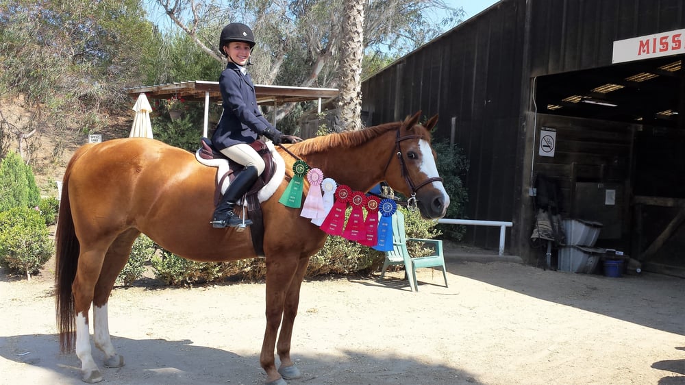 Gladstone Equestrian 27 Photos Horseback Riding 26282 Oso Rd, San