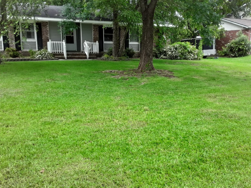 Uncle Joe's Lawn Care Services