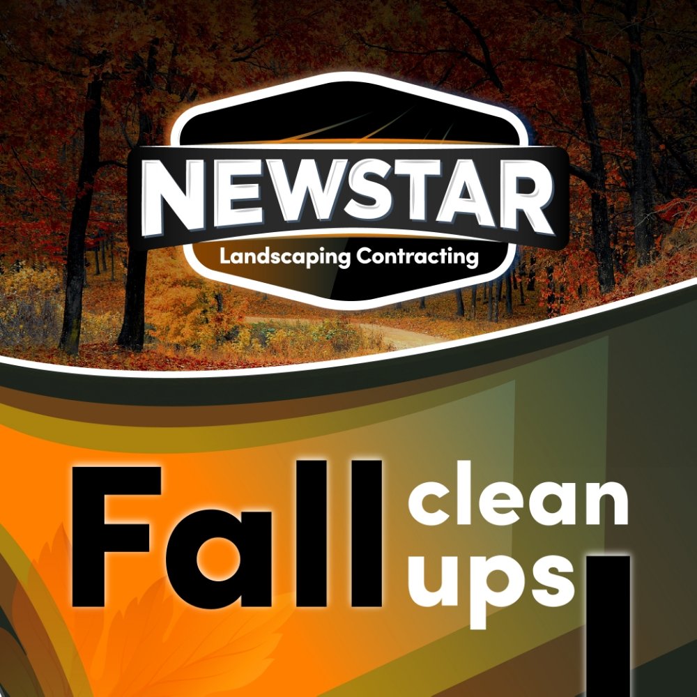 Newstar Landscaping contracting
