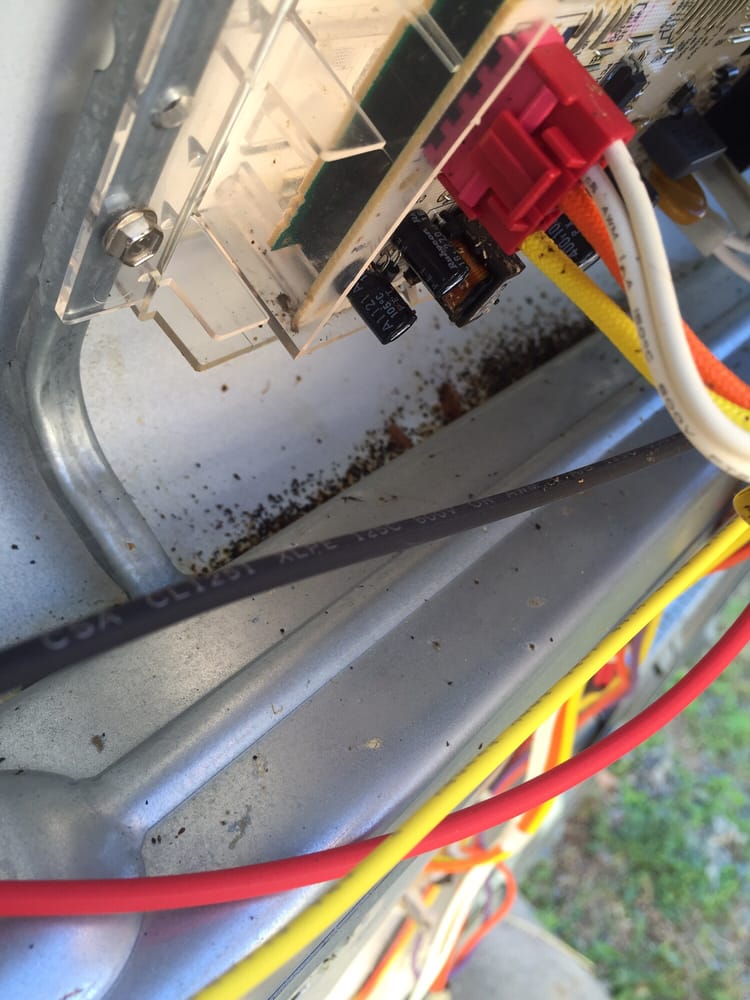 AJ Rebhan- Real Living Carolinas Real Estate