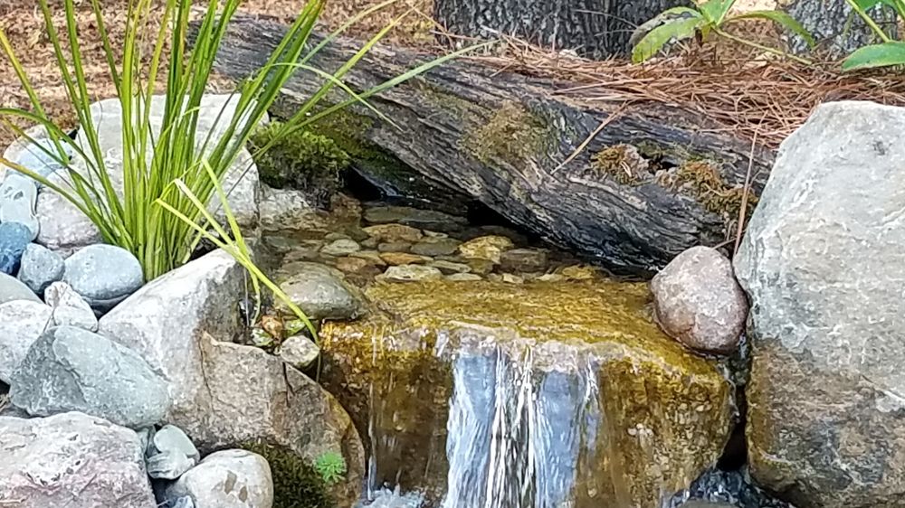 Springer Ponds and Water Gardens
