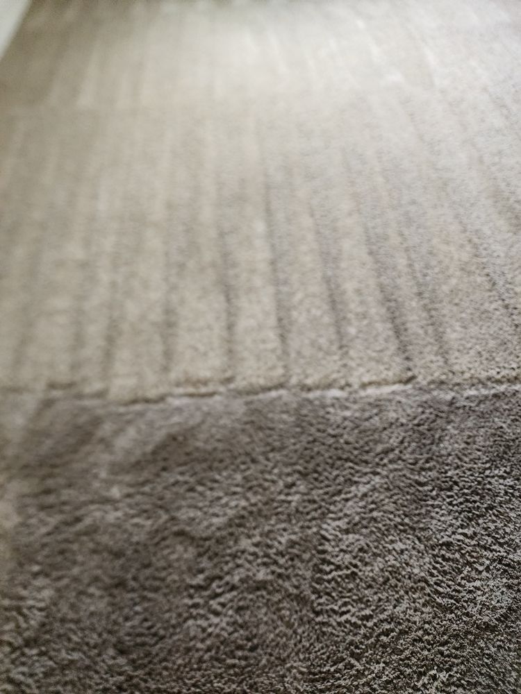 Sunlight Carpet Care