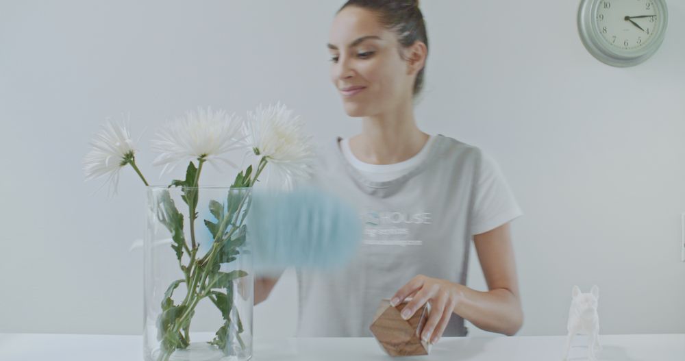 Wave House Cleaning