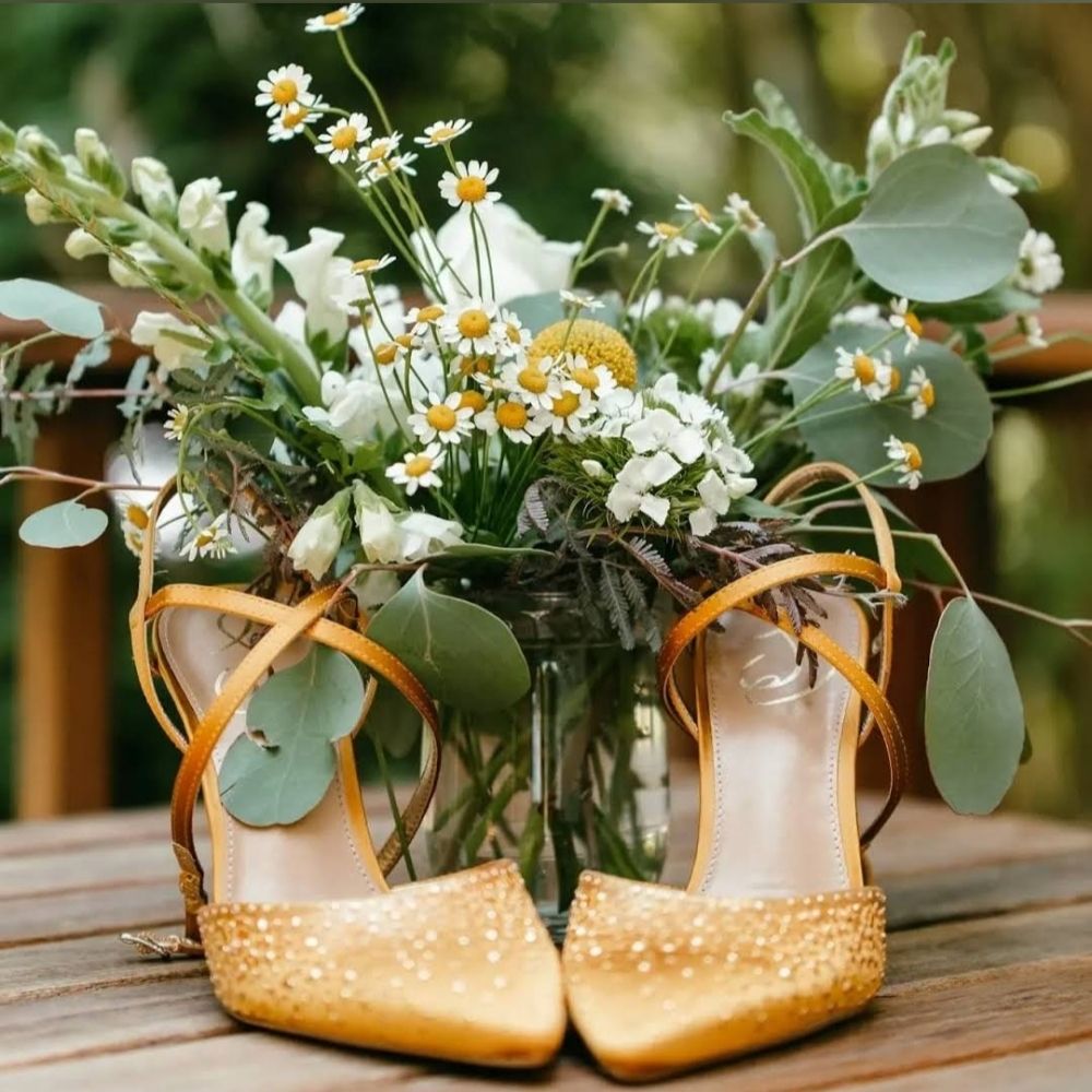 Jessica Collins Photography