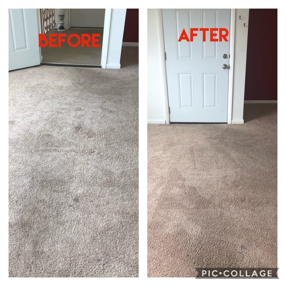 JDog Carpet Cleaning Aston & Southern Chester County