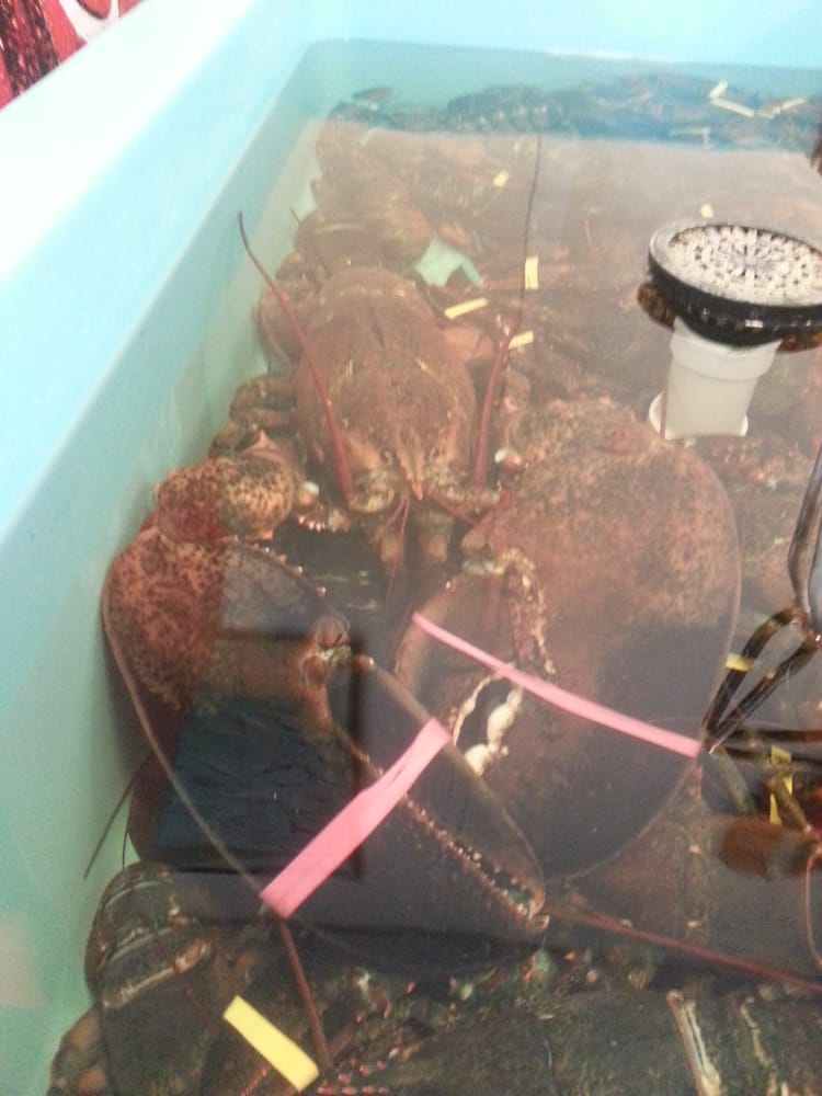 Cherry Street Fish Market 28 Reviews Seafood Markets 26 Hobart St