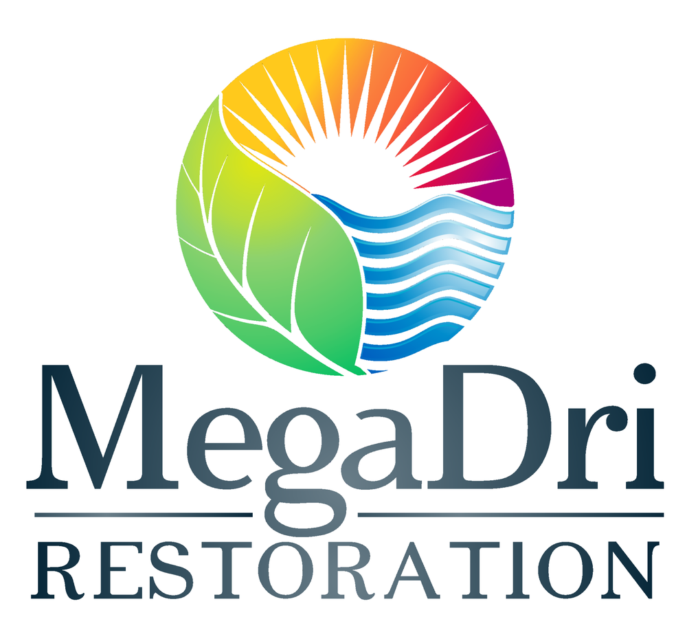 image of business MegaDri Restoration
