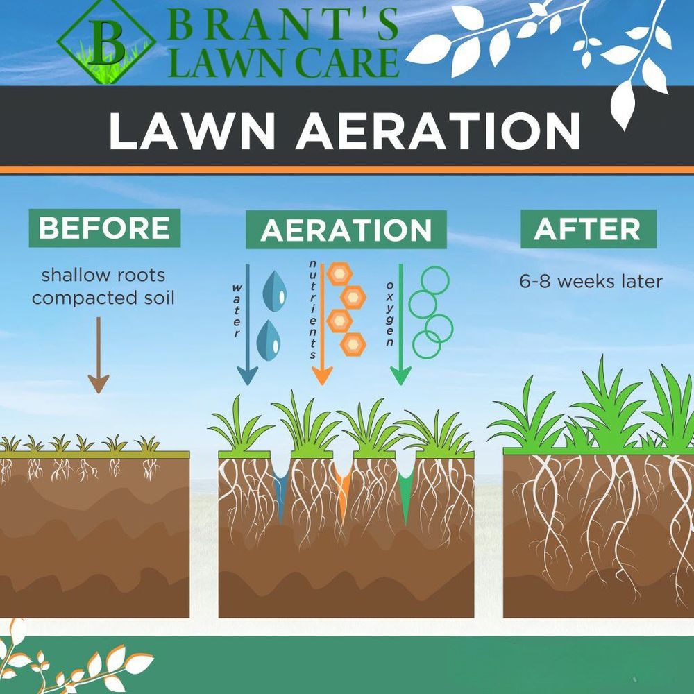Brant's Lawn Care