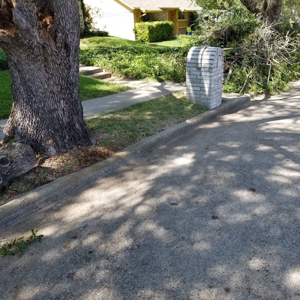 JV Tree Service and Landscaping