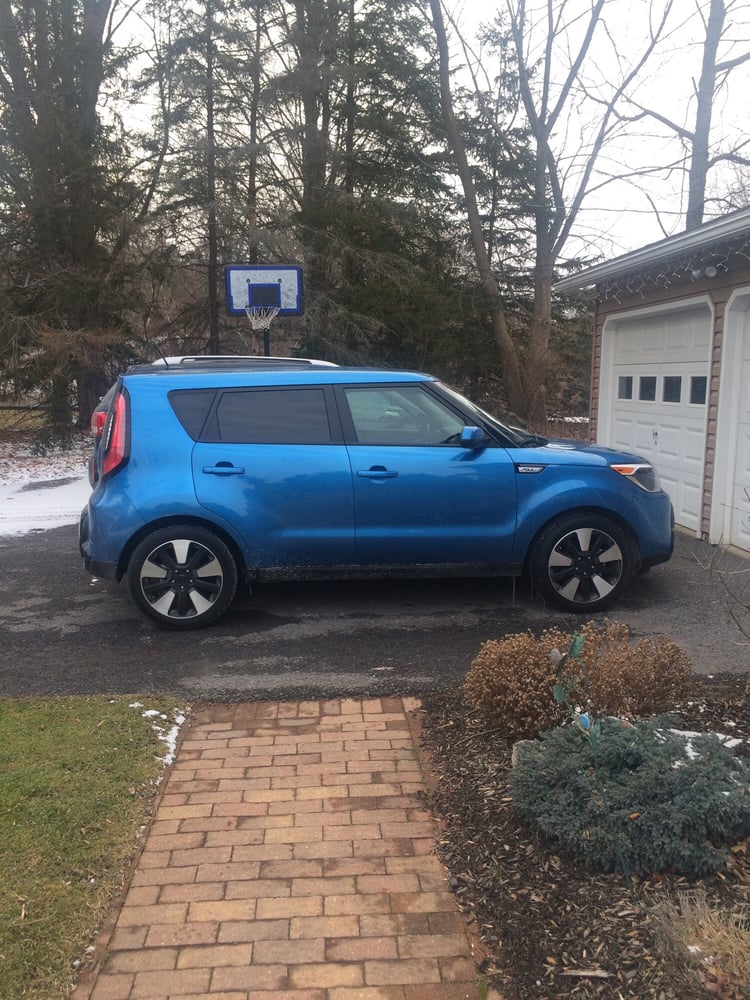 Romeo Kia of Kingston 15 Reviews Car Dealers 111 Schwenk Dr