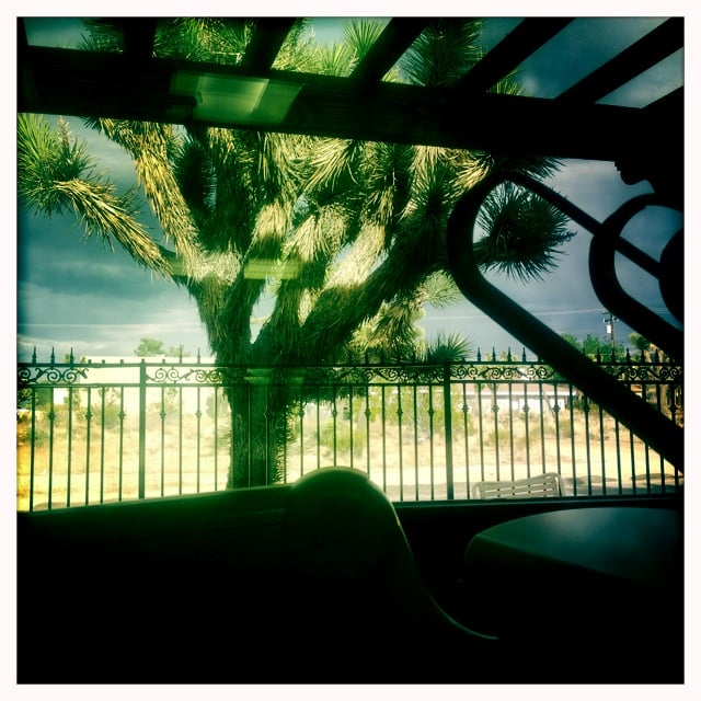 image of business Robert E Lombardo, DDS