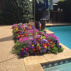 Ruibal S Plants Of Texas Nurseries Gardening 6670 Lemmon Ave