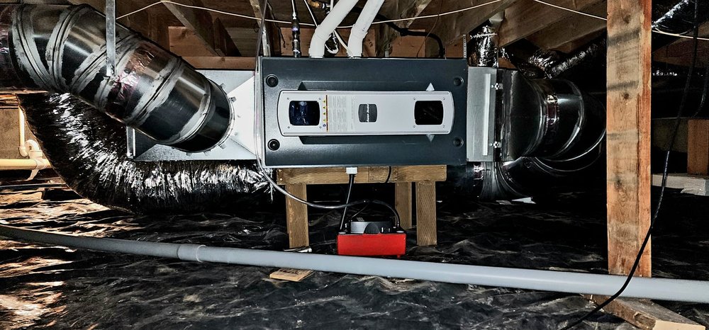 image of business Cowdog Mechanical