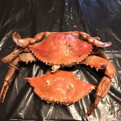 Best Steamed Blue Crabs In Norfolk Va Last Updated December 2018 1 King S Seafood