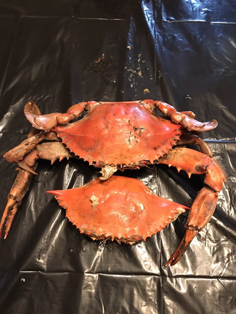 King’s Seafood 14 Photos & 20 Reviews Seafood Markets 714 E