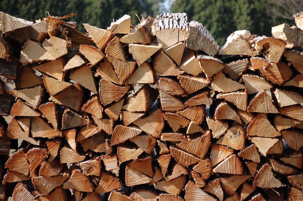Mark's Stump Grinding