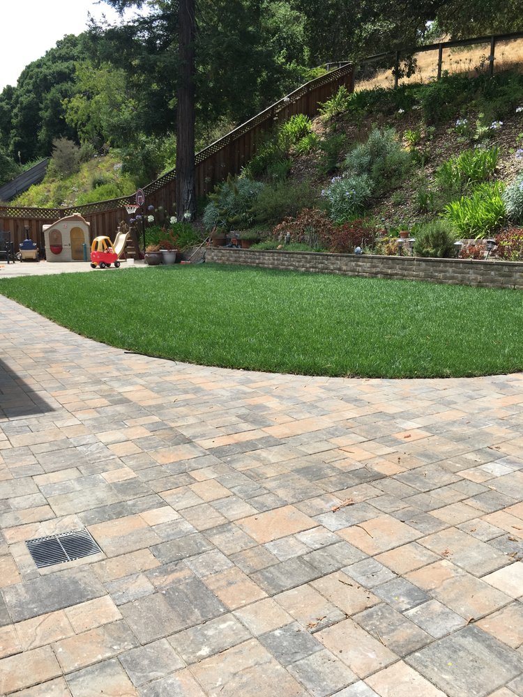 Francisco's Gardening and Maintenance