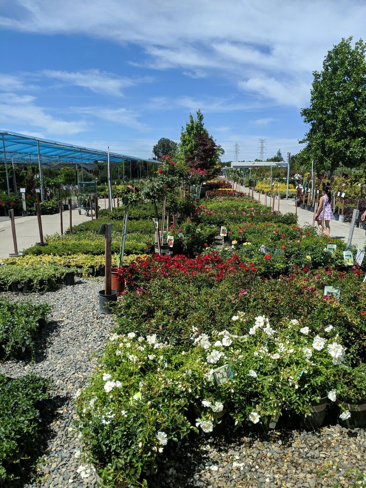 Green Acres Nursery & Supply