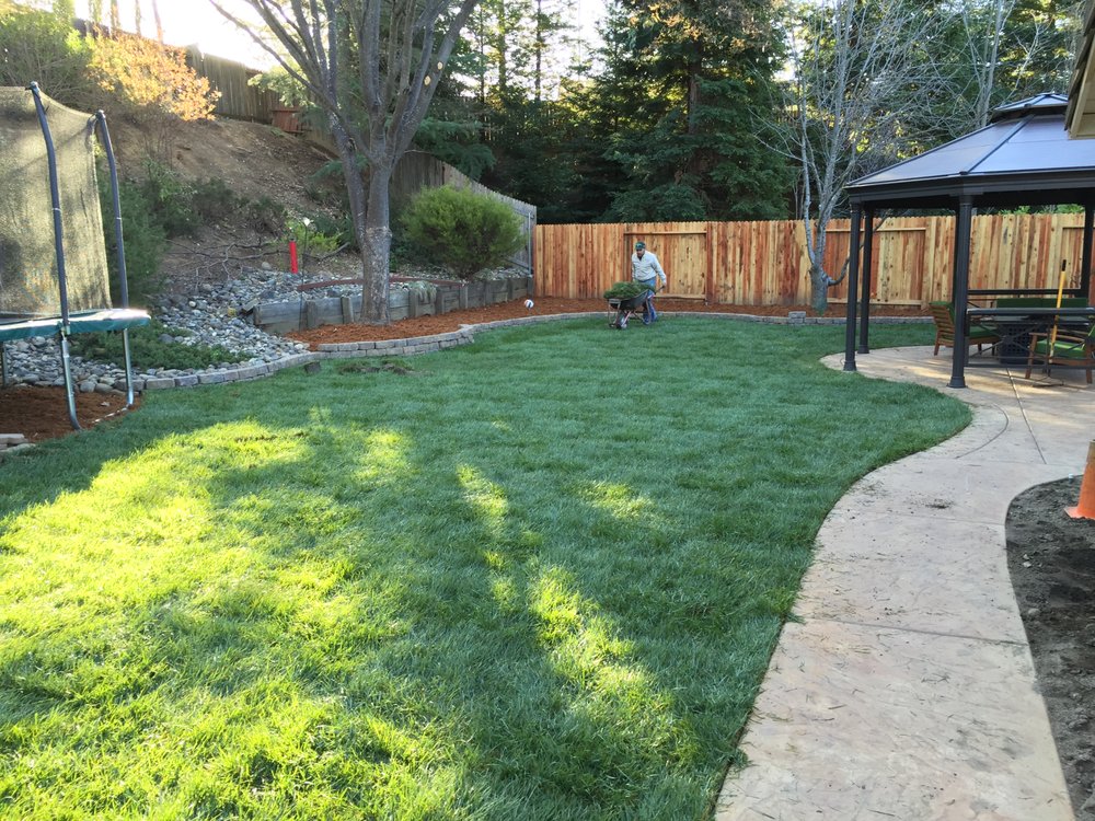 Zamora Sod Farm