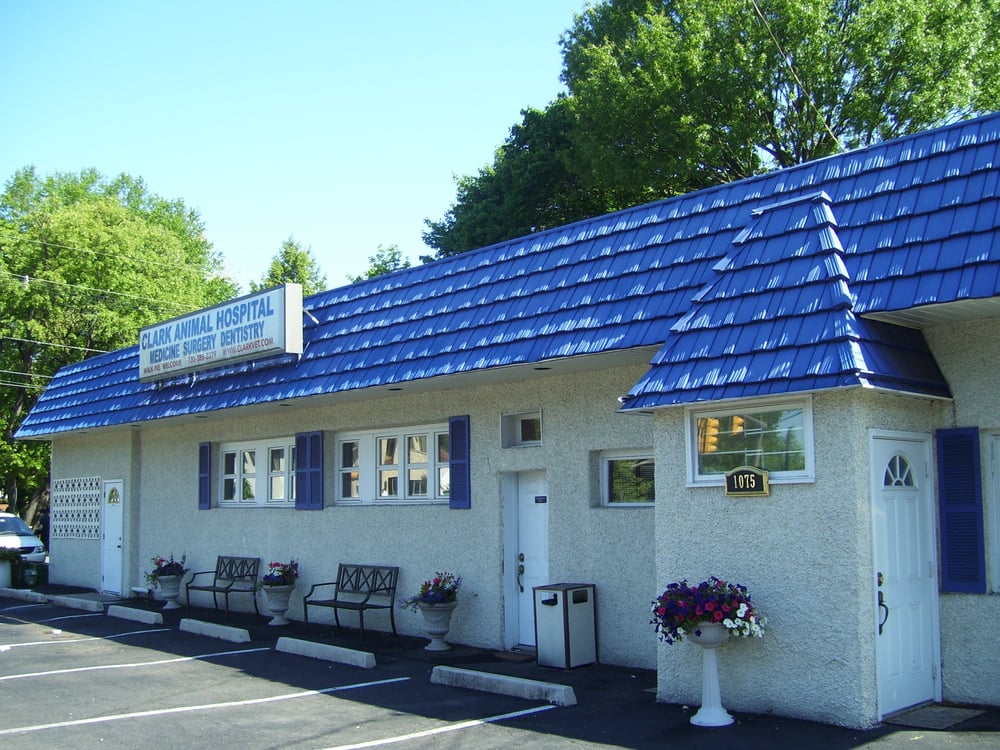 Clark Animal Hospital 12 Photos & 17 Reviews Veterinarians 1075