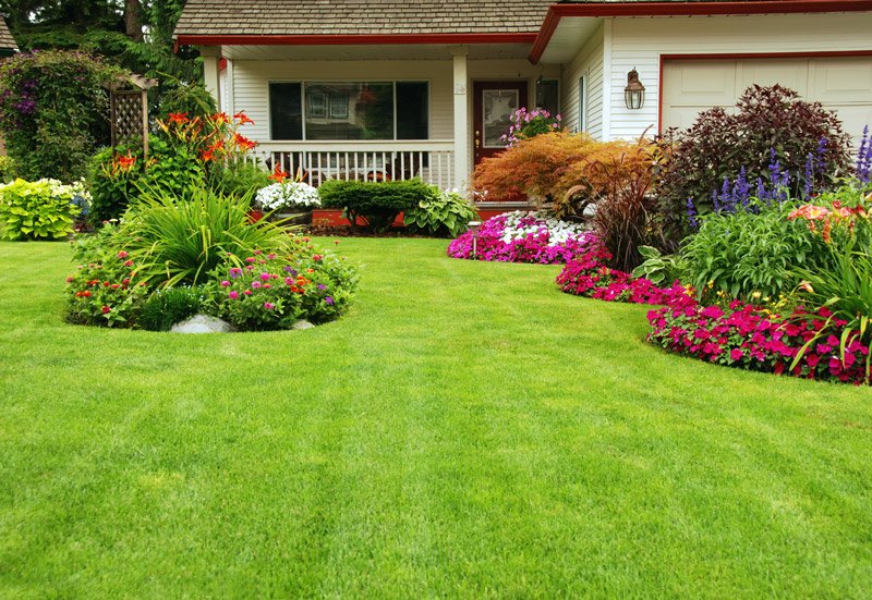 image of business Quality Lawncare and Handyman Services