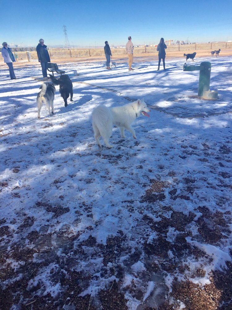 First Creek Dog Park